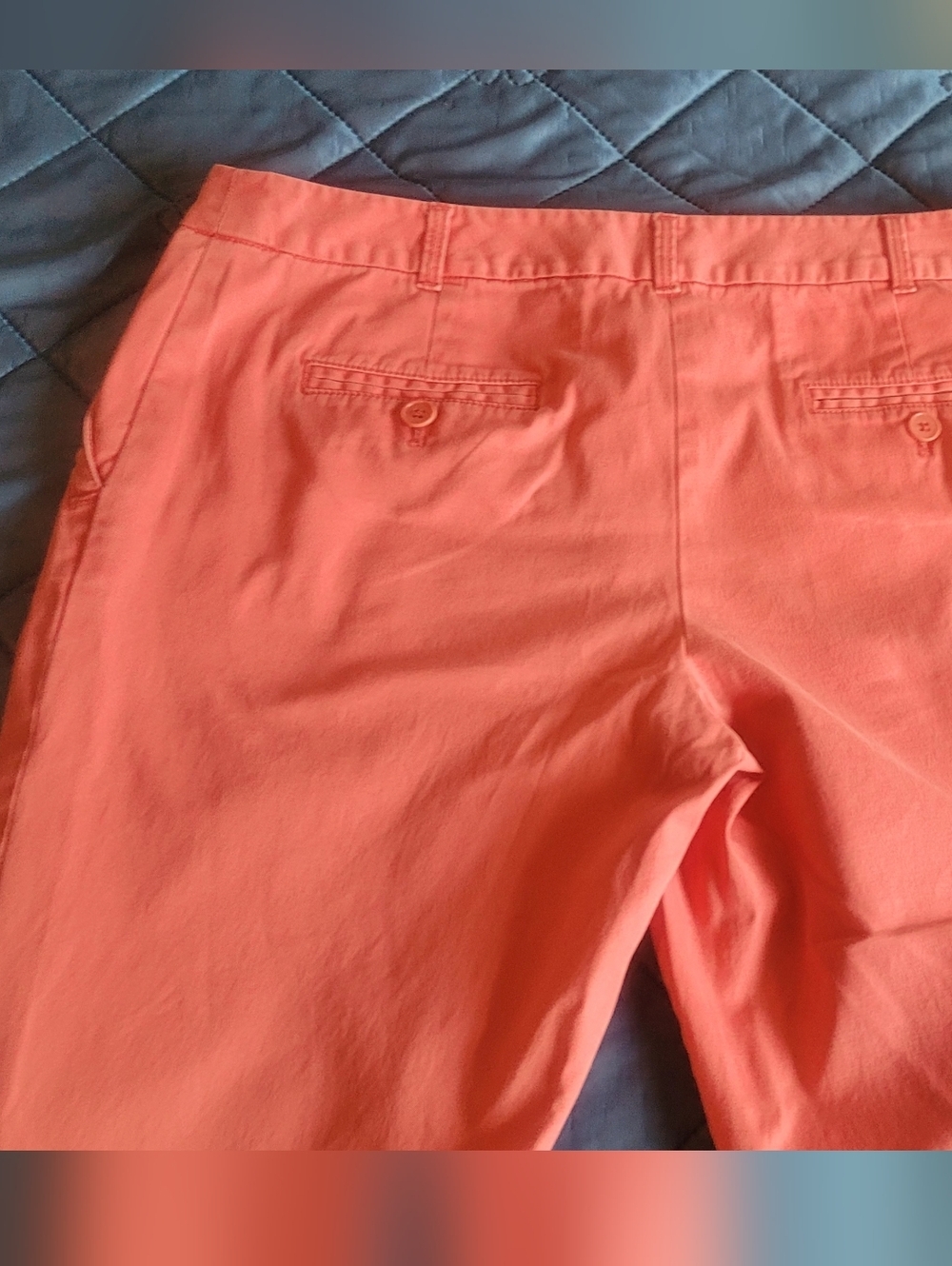 Talbots Coral Pink Straight-Leg Ankle Pants Size 8P - Picture 4 of 7